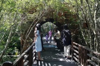 Kebun Mangrove Surabaya