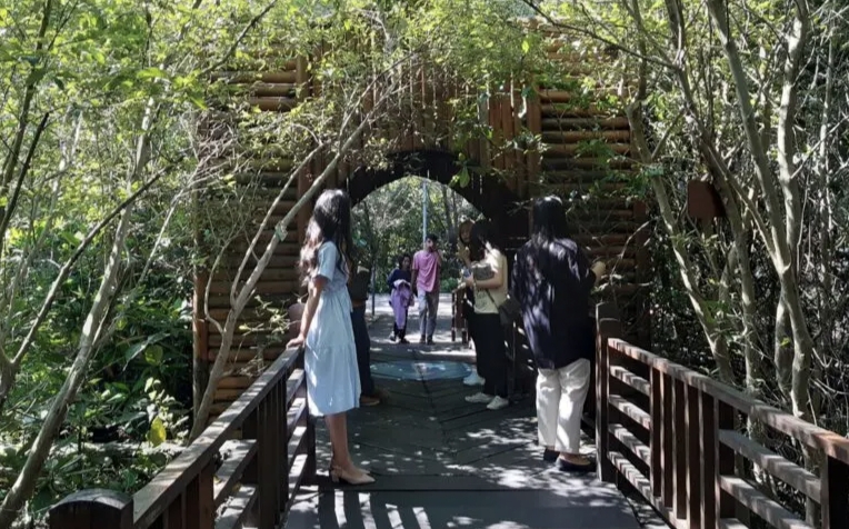 Kebun Mangrove Surabaya