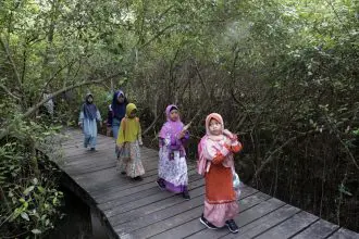 Hut kebun raya mangrove surabaya