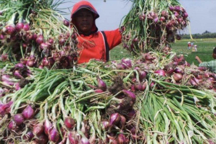 Petani bawang merah